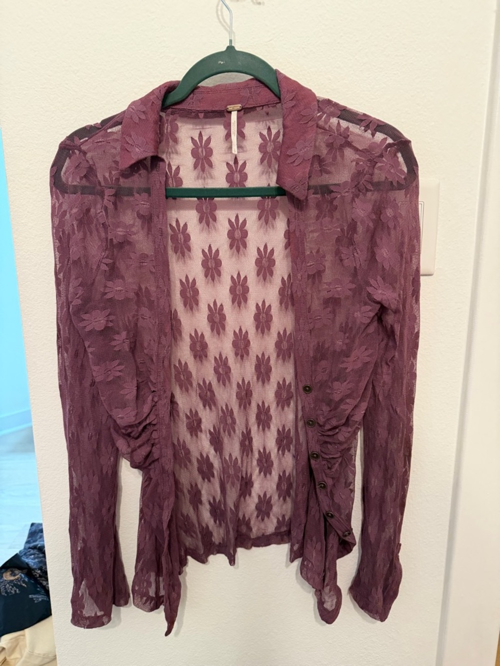 Free People Plum Sheer Embroidered Button-Down Shirt